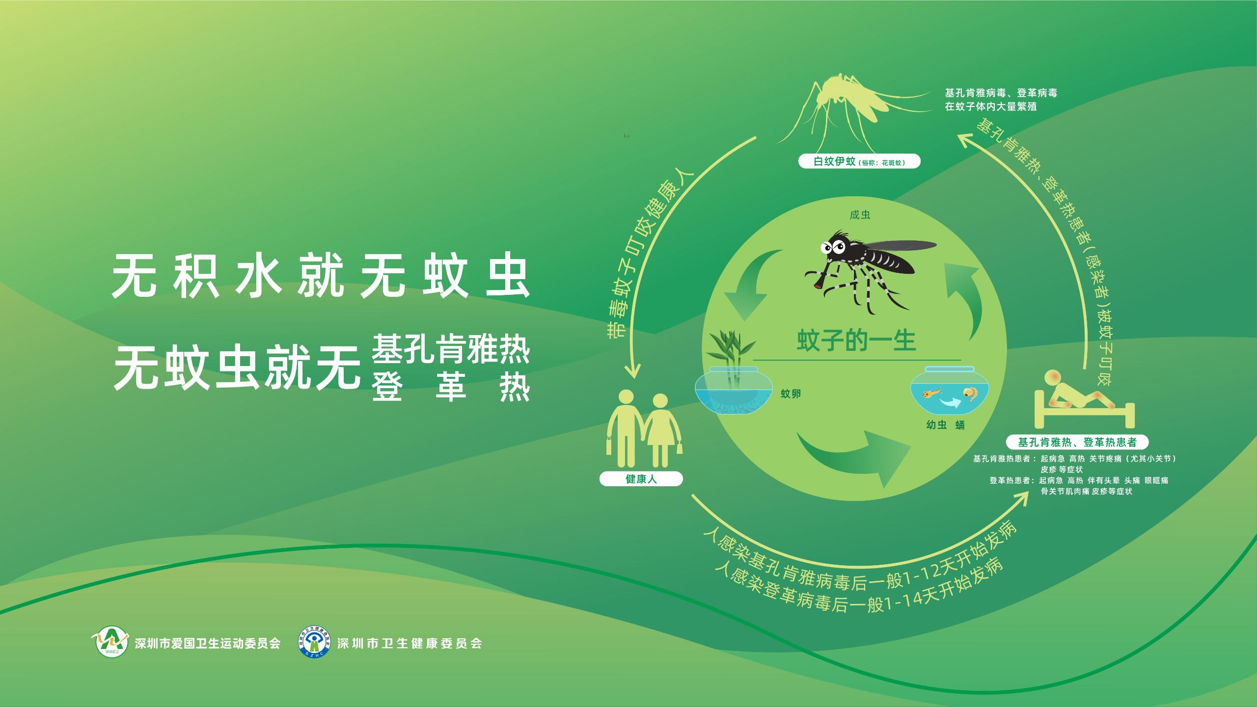 基孔肯雅热1.jpg